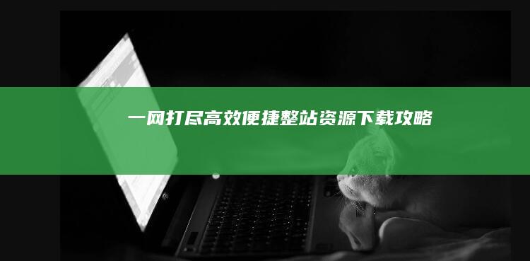 一网打尽：高效便捷整站资源下载攻略